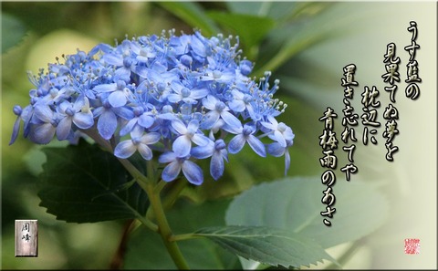 usuainoasa