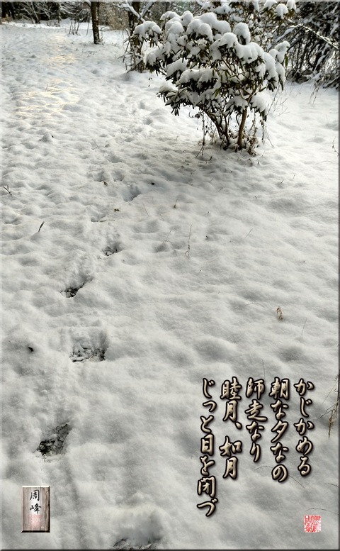 kajikameru