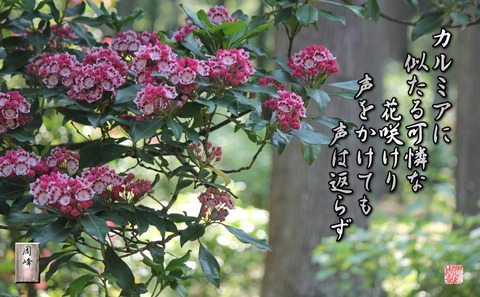 karumianinitahana