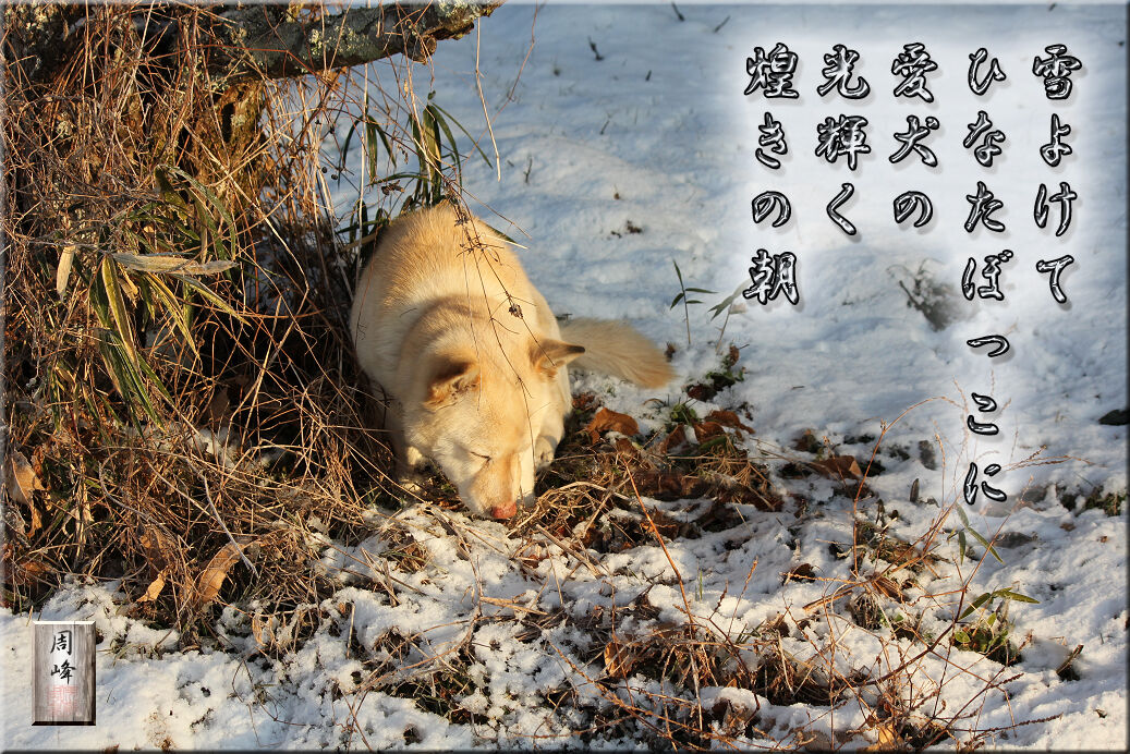 イメージ 1