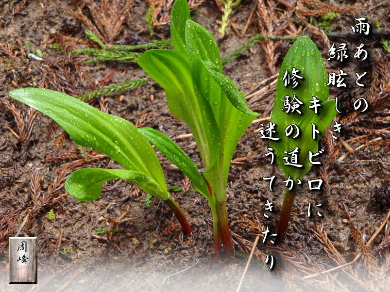 イメージ 1