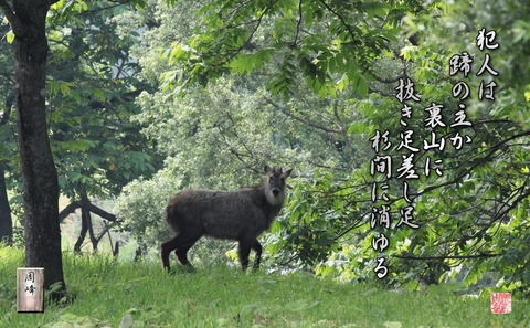 hizumenonushi