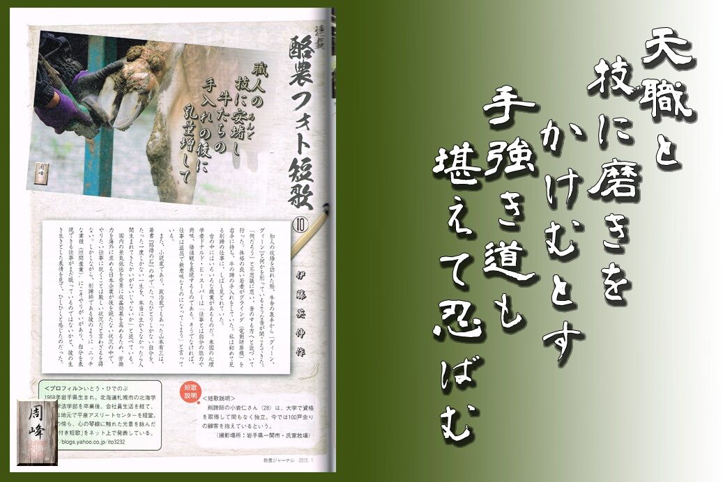 イメージ 1