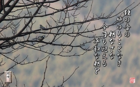 heiwanaasa