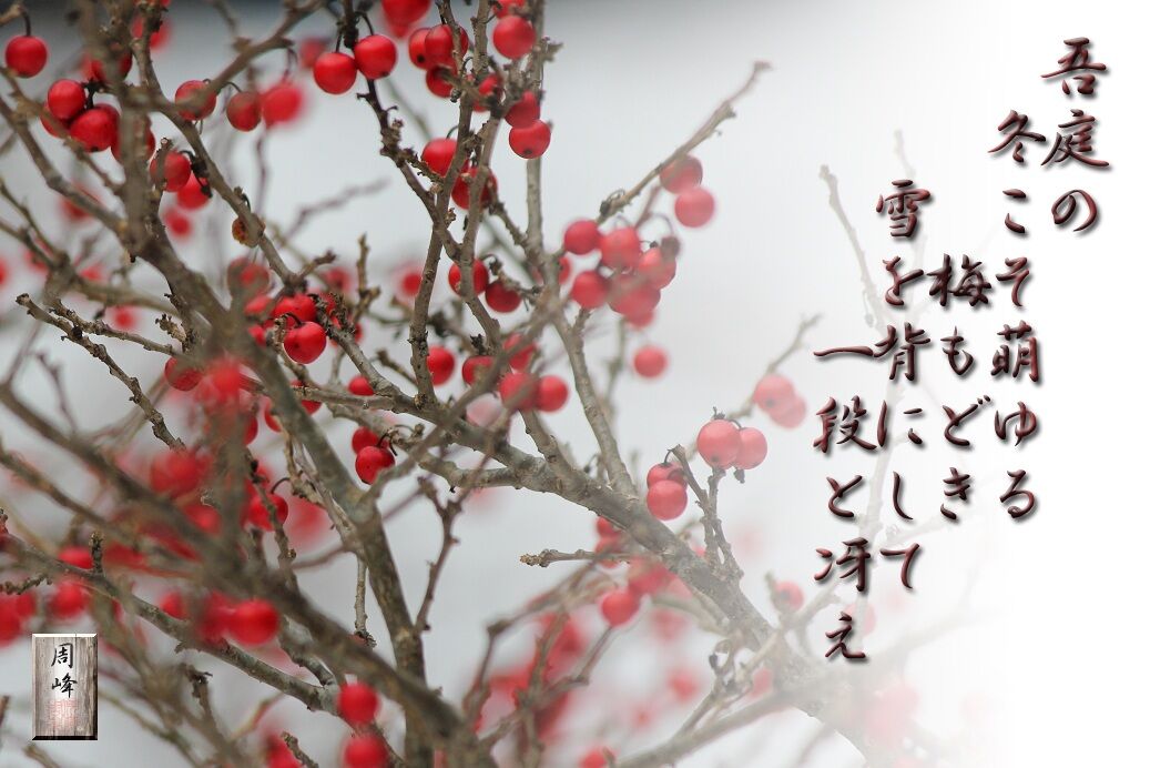 イメージ 1