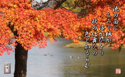 akinosimai