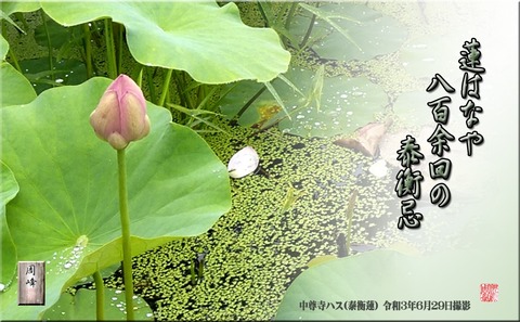yasuhirahasu
