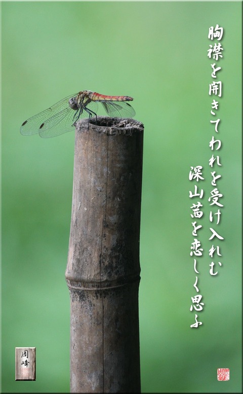 miyamaakane
