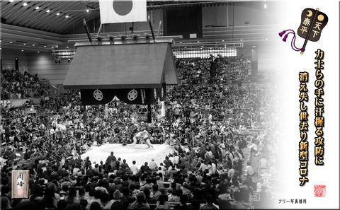 rikishi