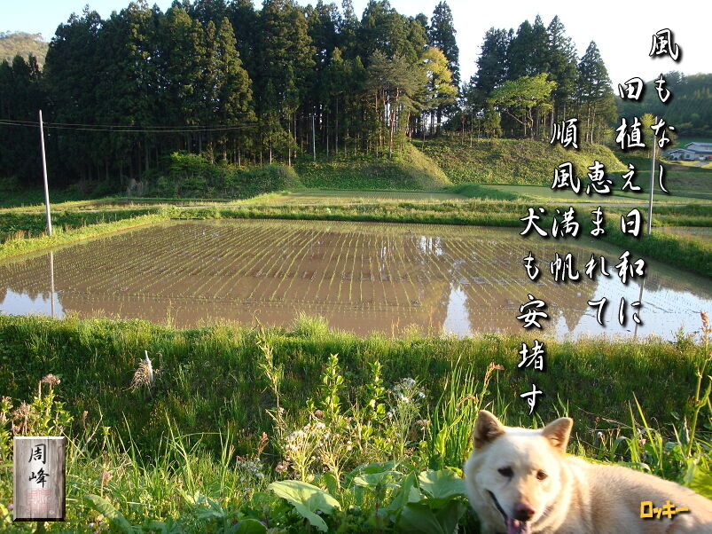 イメージ 1