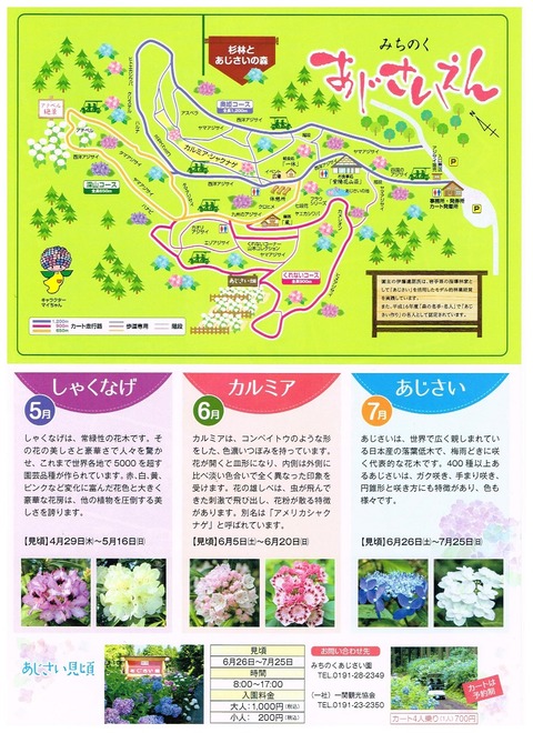 chirashi2