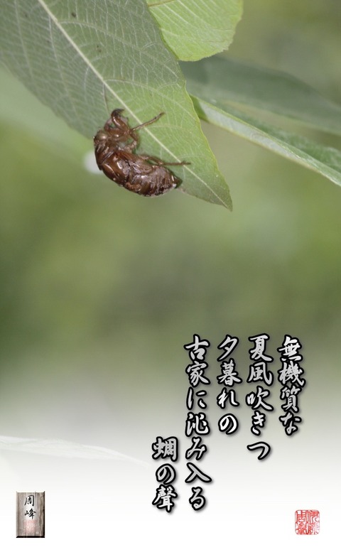 higurashinokoe