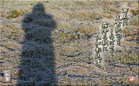 wagakage87