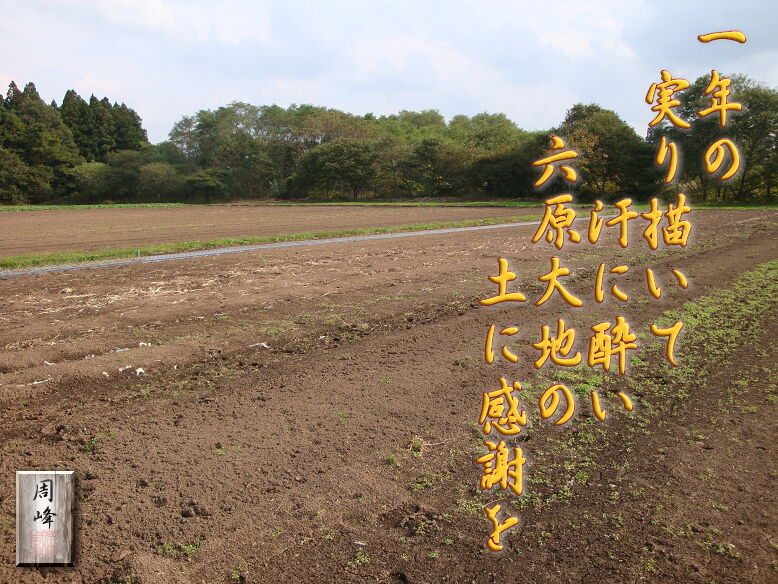 イメージ 1