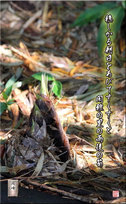 kanganosato