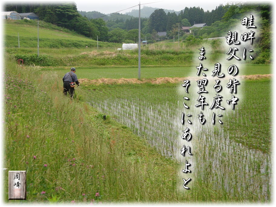 イメージ 1