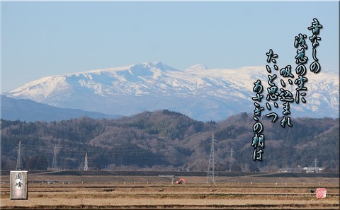 asaginoasa