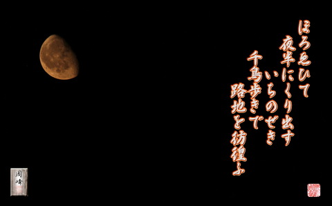 tidoriaruki