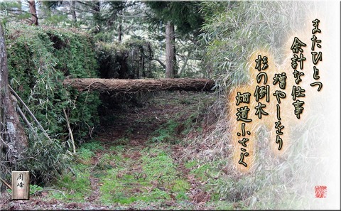 toboku91