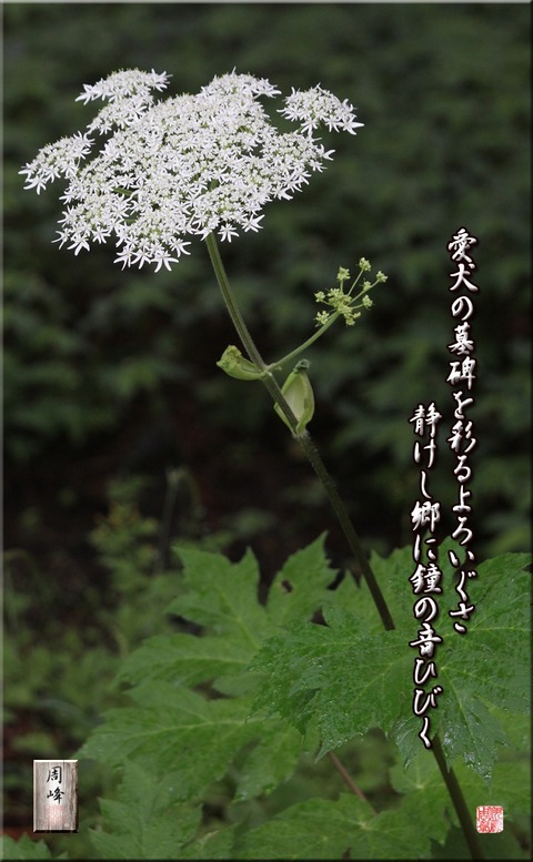 aikennobohi