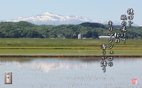 kaorigasasou