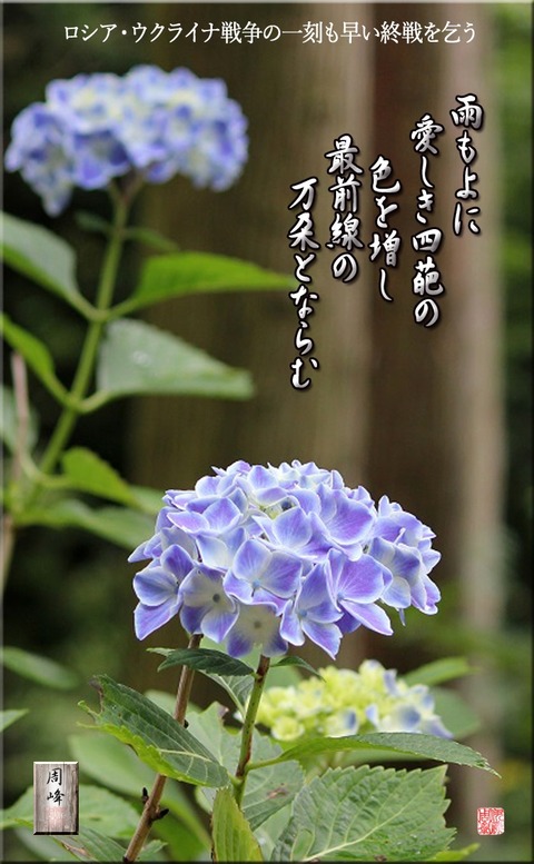 ukuraina
