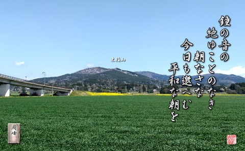 hewanaasa
