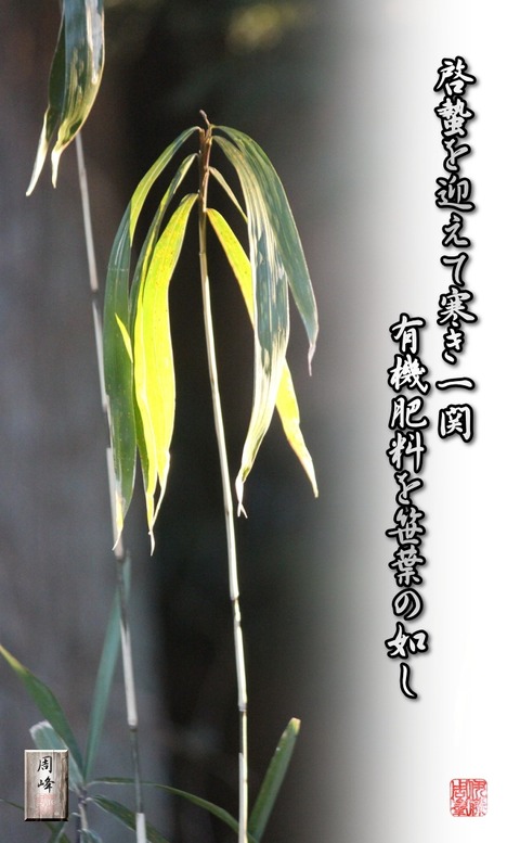 sasahanogotosi