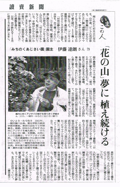 yomiuri