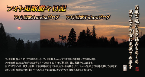 blog