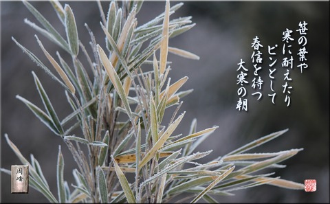 daikannoasa