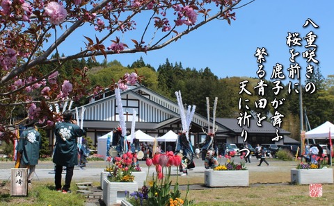 shishigamau