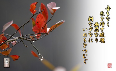 shyuwomasusuguri