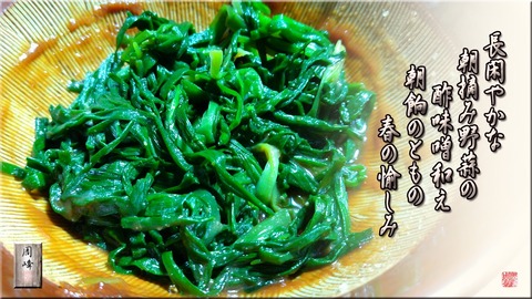 nobiruhatomo