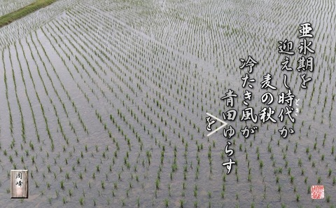 mugiaki