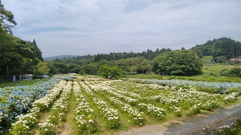 DSC_0056
