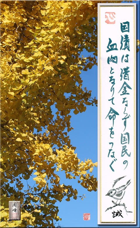 kokusainotadasisa