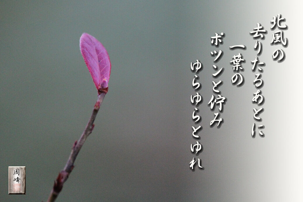 イメージ 1