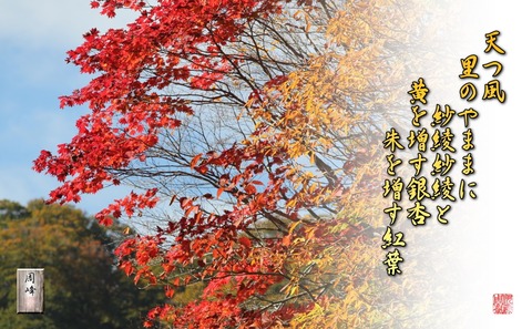amatukaze