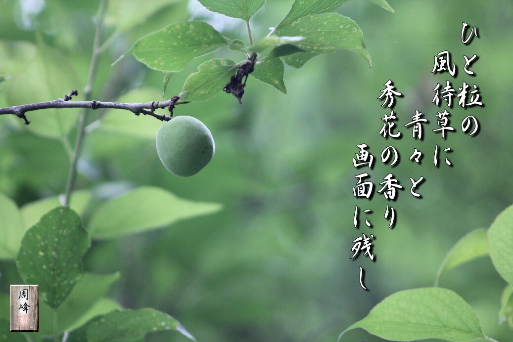 イメージ 1