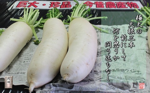 gokubutodaikon