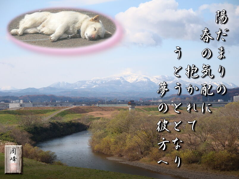 イメージ 1