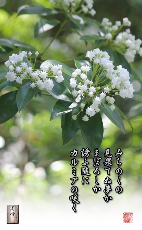 mihatenuyume