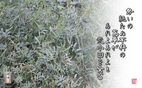 araodawohamu
