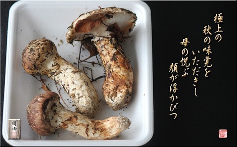 天然松茸 11/11採取198g 3個セット ③天然松茸 198g 天然松茸11/ 天然松茸 11/11採取198g 3個セット ③天然松茸 198g 天然松茸11/