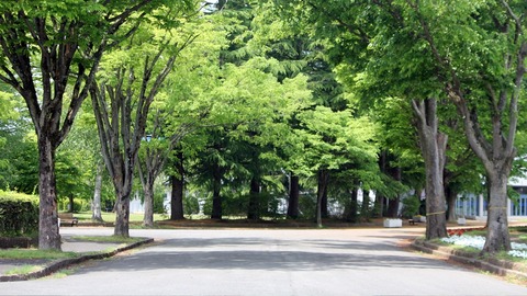 kouen