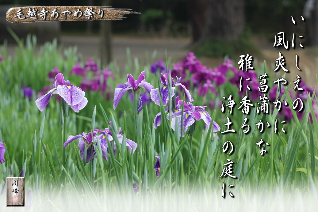 イメージ 1