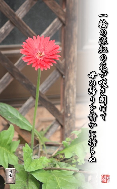 shinkunohana