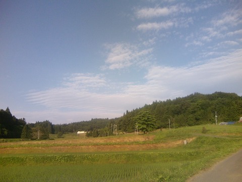 saigai8