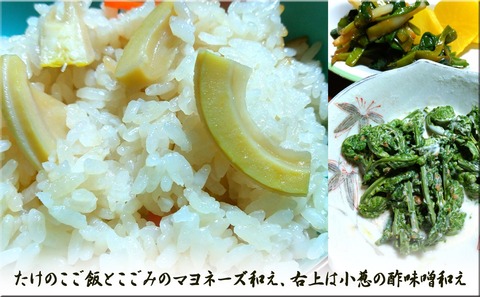 takenogohanhoka